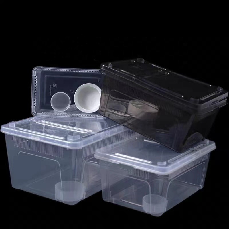Reptile Breeding Box Manufacturer - New Design Small Medium Large Plastic Turtle Hatchling