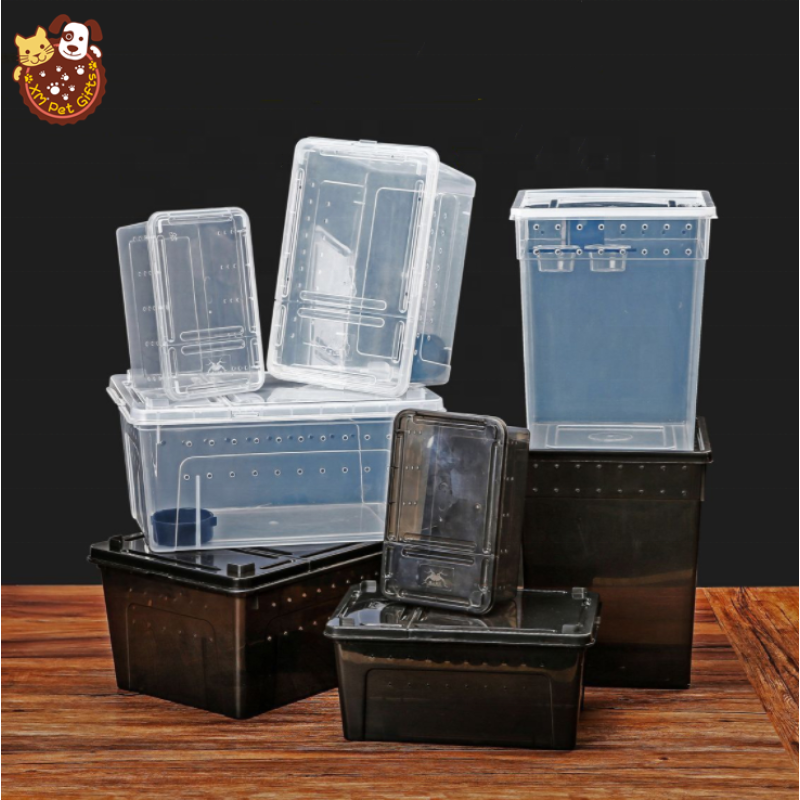Small Reptile Box Supplier - 19x12.5x7.5cm for Spider Gecko Snake Scorpion Centipede