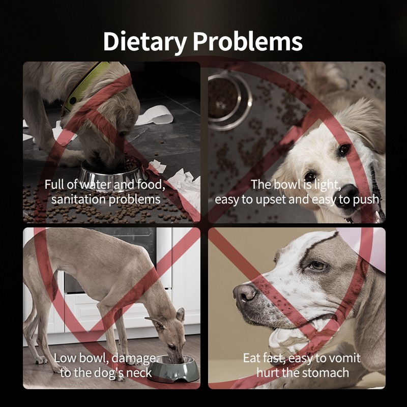 Stainless Steel Dog Food Bowl Factory - Adjustable Heights OEM ODM