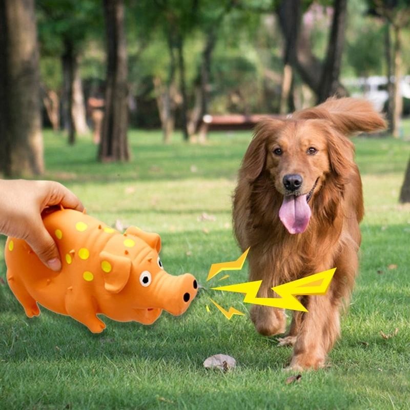 Cat Dog Teething Toy Factory - New Watermelon Fruit Series with Self-Entertainment Sound