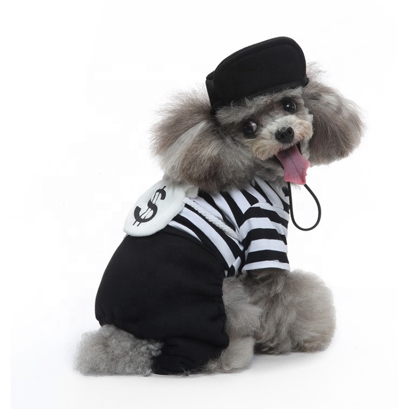 Cat Treats Supplier - Wholesale Nutrition Snacks Wet Food