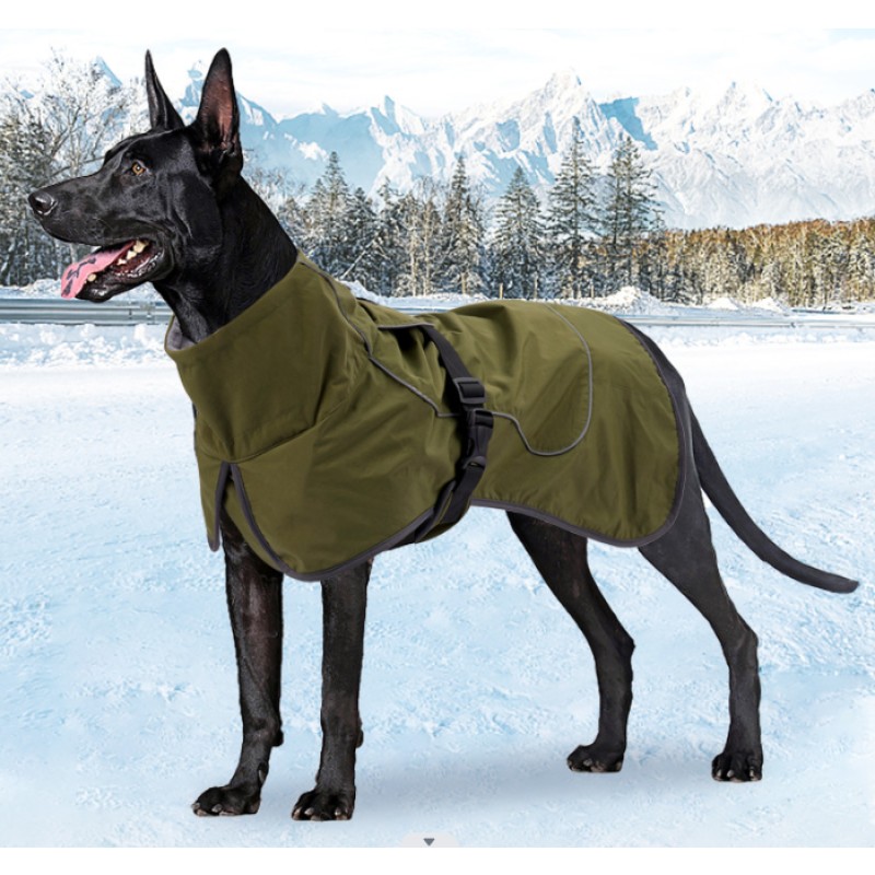 Dog Clothes Supplier - MMG Factory Wholesale European Luxury