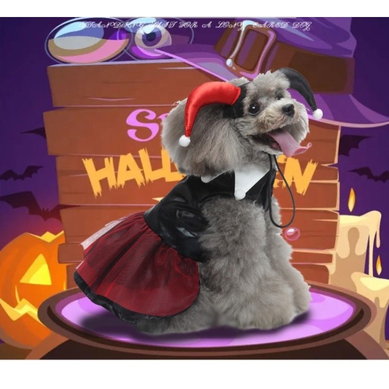 Cat Treats Supplier - Wholesale Nutrition Snacks Wet Food