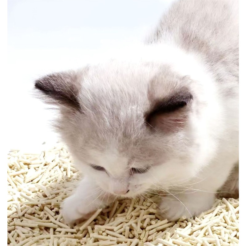 Tofu Cat Litter Supplier - Free Poop Bags High Level Bamboo
