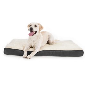 Designer Dog Bed Manufacturer - Custom Jambo Square Indoor