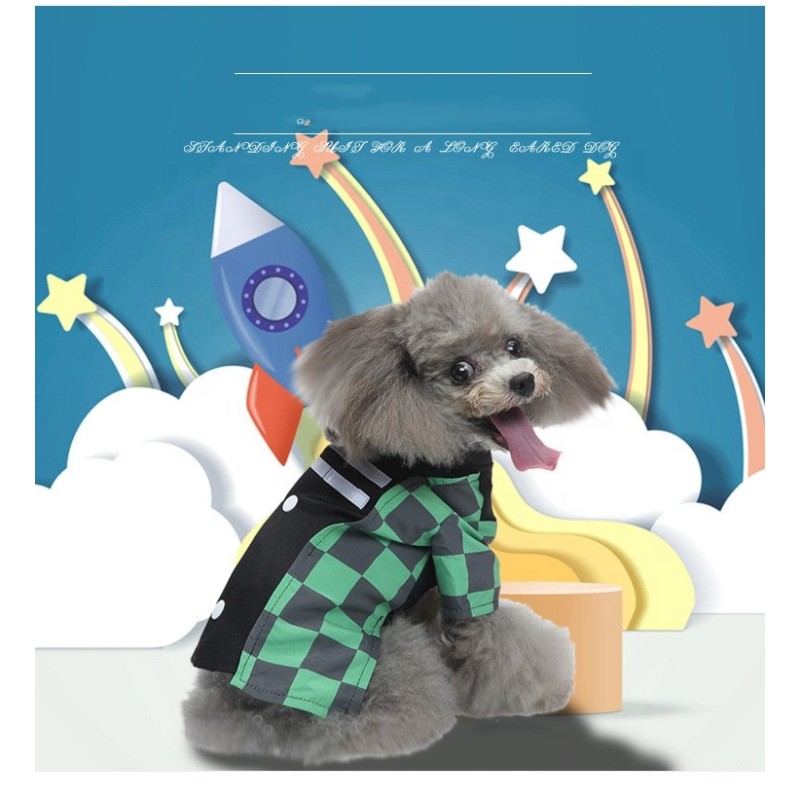 Cat Treats Supplier - Wholesale Nutrition Snacks Wet Food