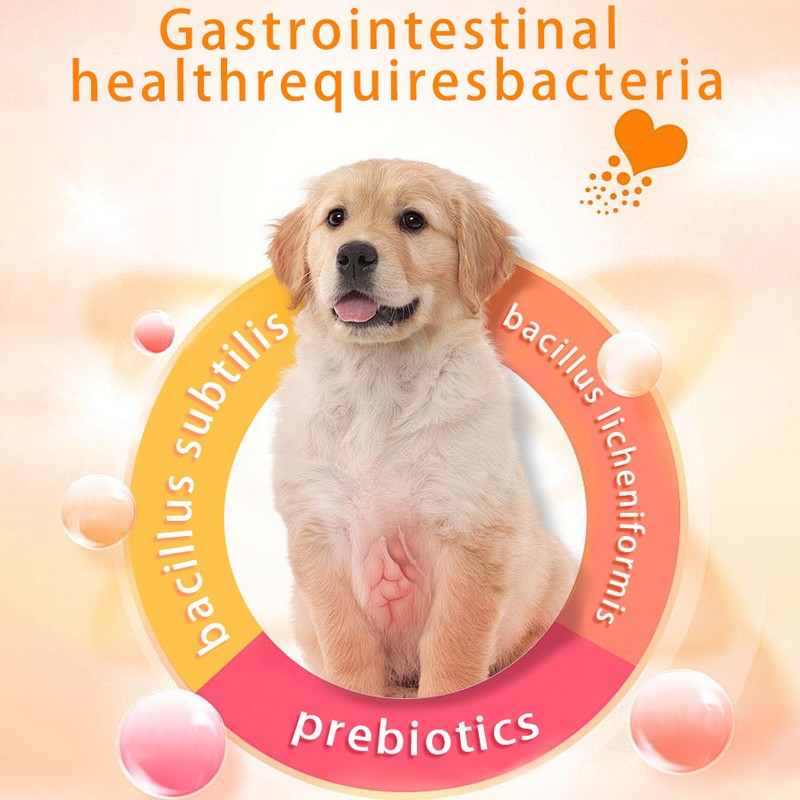 Pet Probiotic Manufacturer - OEM Private Label Dog Cat Probiotic Bite-Sized Chews Custom Weight