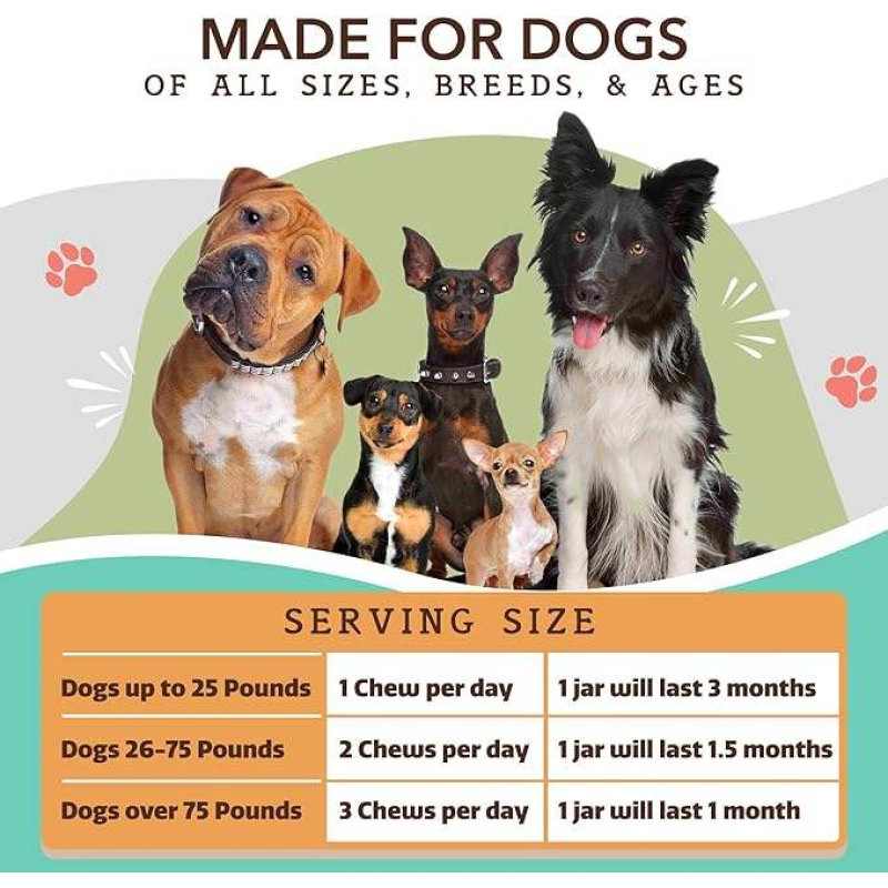 Pet Probiotic Manufacturer - OEM Private Label Dog Cat Probiotic Bite-Sized Chews Custom Weight