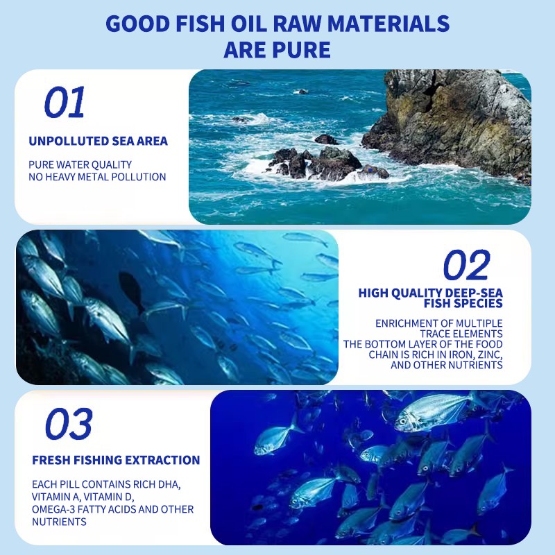 Pet Probiotic Supplier - OEM Active Probiotic Powder for Dogs Cats Fish Reptiles Custom Packaging