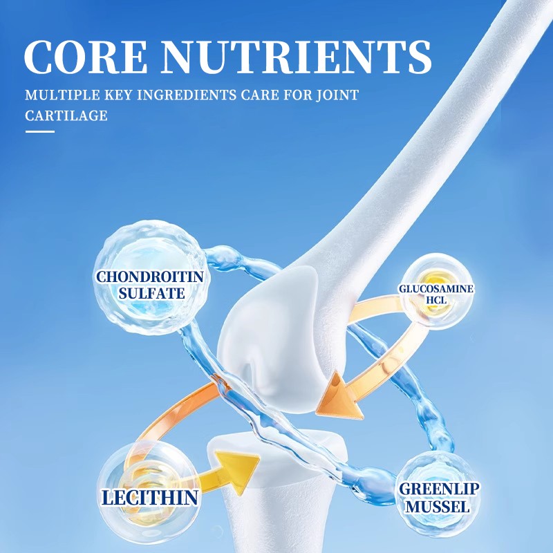 Pet Supplement Supplier - Premium Pet Health Supplement Grain-Free Non-GMO Booster Dogs Cats