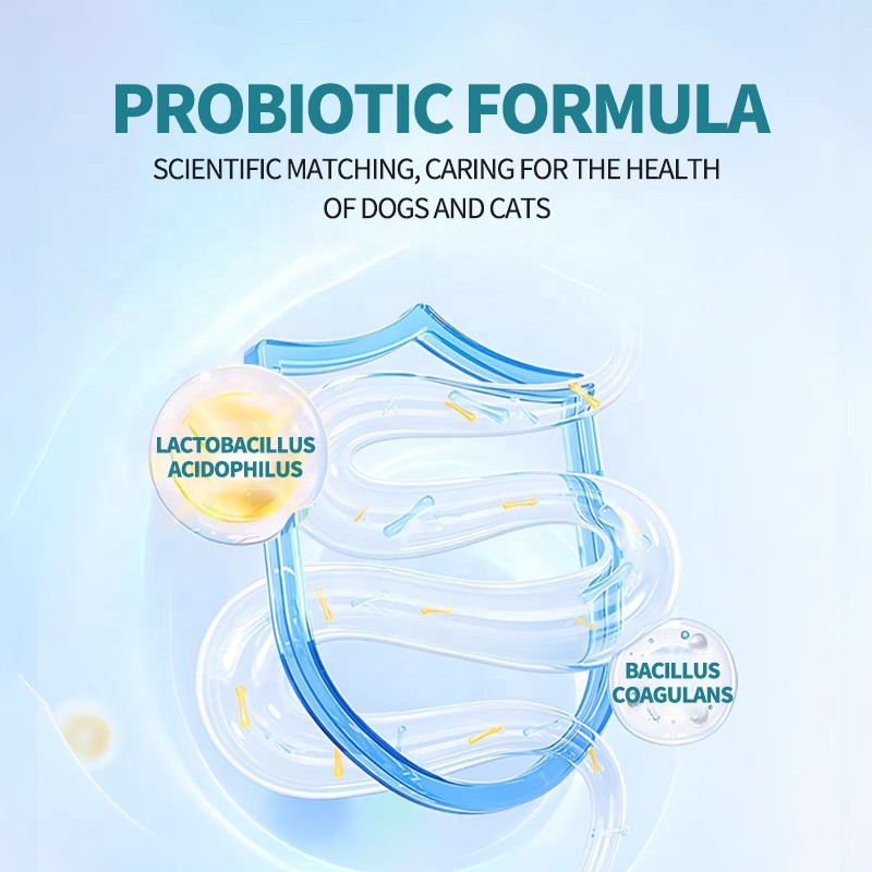 Pet Joint Supplement Supplier - Natural Joint Health Supplement 1.5g 2.5g Custom Bottle Weight Green Mussel