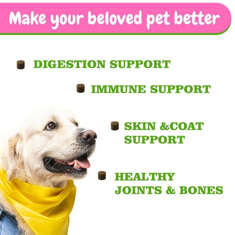 Pet Liquid Vitamins Manufacturer - 10-in-1 Pet Vitamins Glucosamine Liquid Drops Gut Immune Joint