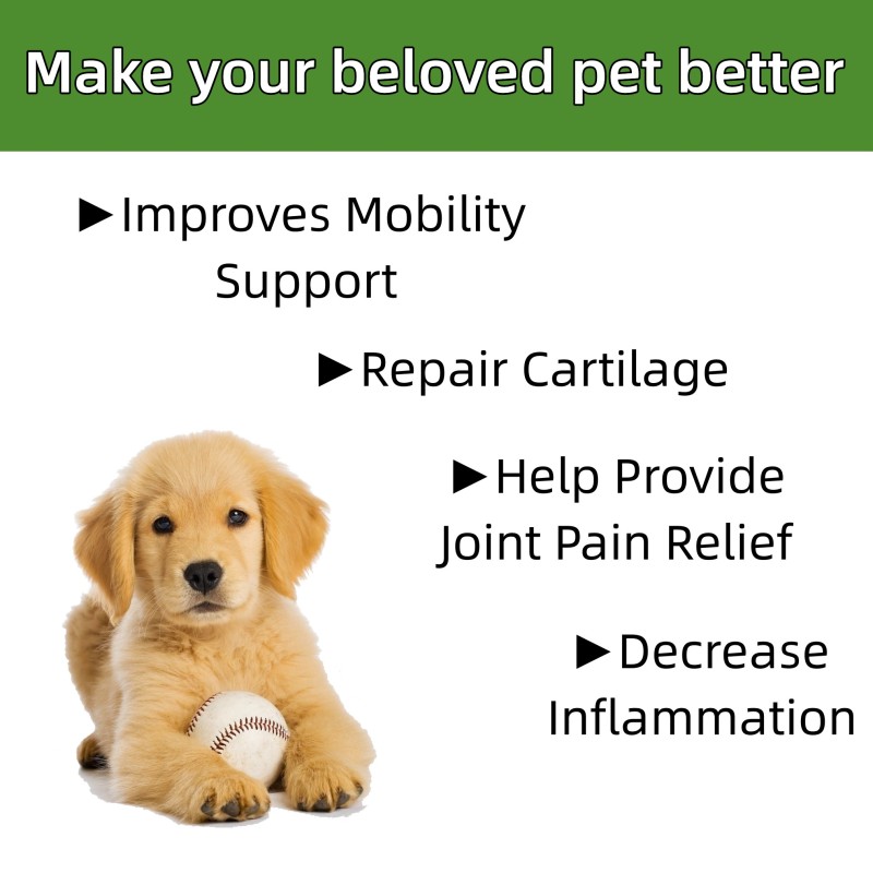Pet Joint Supplement Factory - Hip Joint Supplement Glucosamine Chondroitin Joint Health Custom