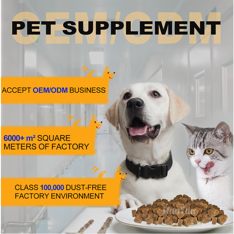 Pet Hip Joint Supplier - Wholesale OEM ODM Hip Joint Soft Chews Mobility Support MSM Chondroitin