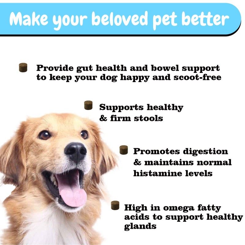 Pet Anal Gland Supplement Manufacturer - Anal Gland Soft Chew with Pumpkin Digestive Enzymes