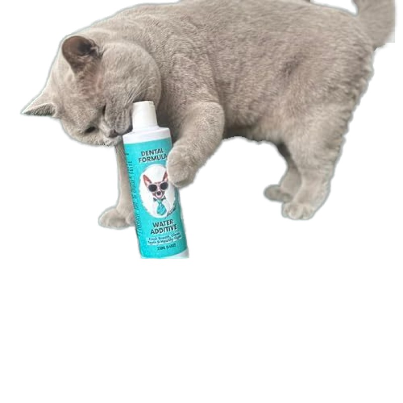 Pet Dental Water Manufacturer - Hot Selling Dental Water for Dogs Cats Clean Teeth Healthy Gums