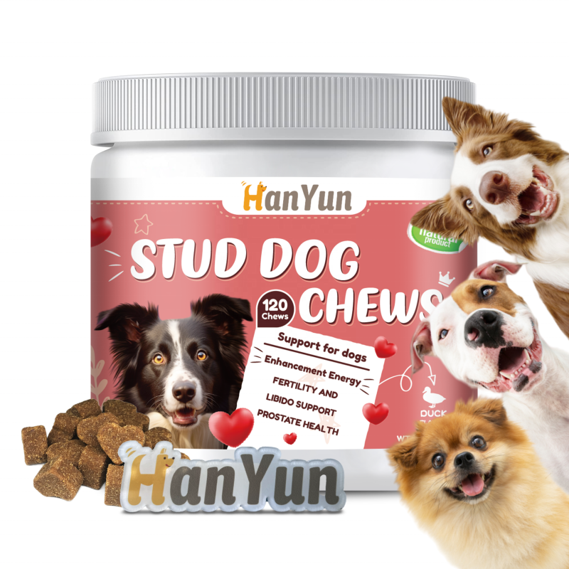 Pet Breeding Supplement Supplier - HANYUN OEM ODM Stud Dog Soft Chews Stamina Fertility Support