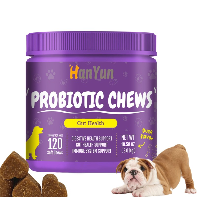 Pet Probiotic Chews Supplier - OEM ODM Digestive Probiotic Soft Chews Immune Health Nutrition