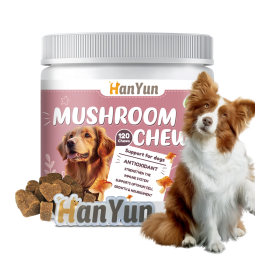 Pet Mushroom Chews Factory - OEM ODM Mushroom Soft Chews Enhance Immune Functions Virus Fight