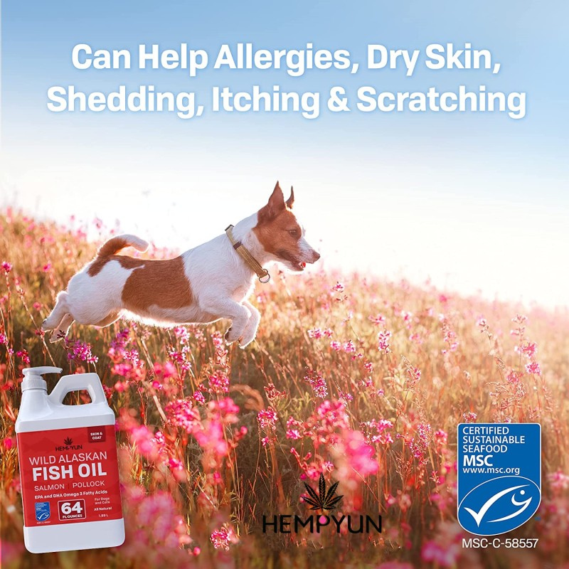 Pet Fish Oil Factory - Salmon Oil Fish Oil Omega 3 Liquid Food Supplement Skin Coat Joints