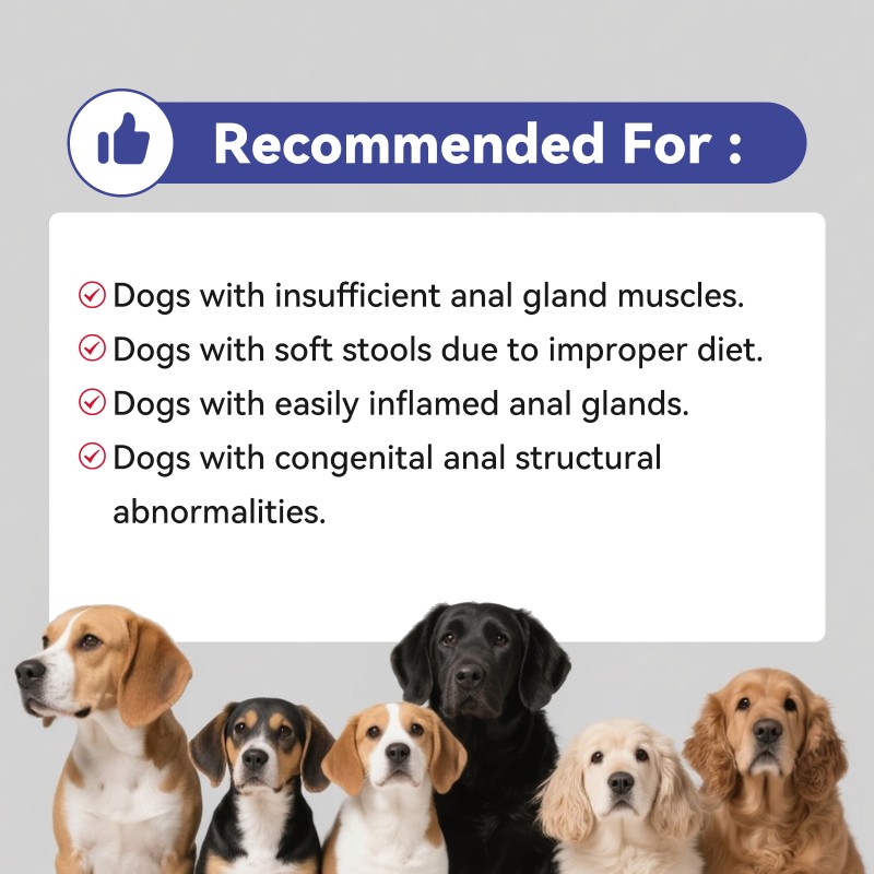 Pet Joint Treats Factory - Joint Soft Treats Chondroitin MSM Hip Joint Supplement Glucosamine Pain