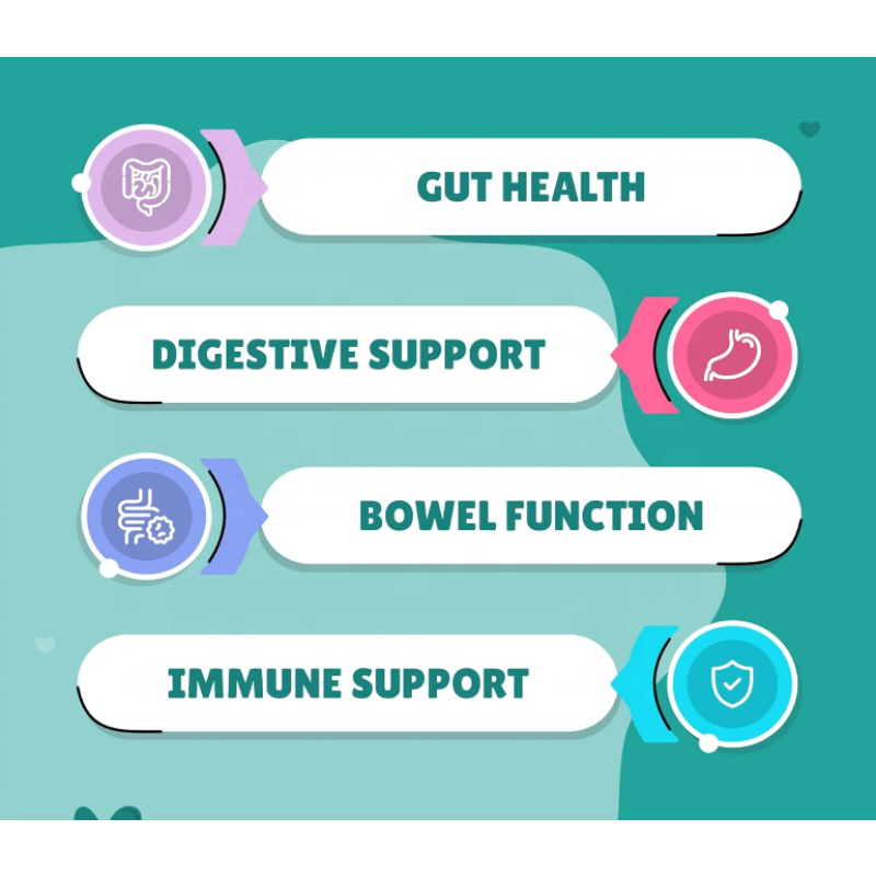 Pet Probiotics Supplier - OEM ODM Probiotics for Dogs 120 Chewable Tablets with Honey Pumpkin