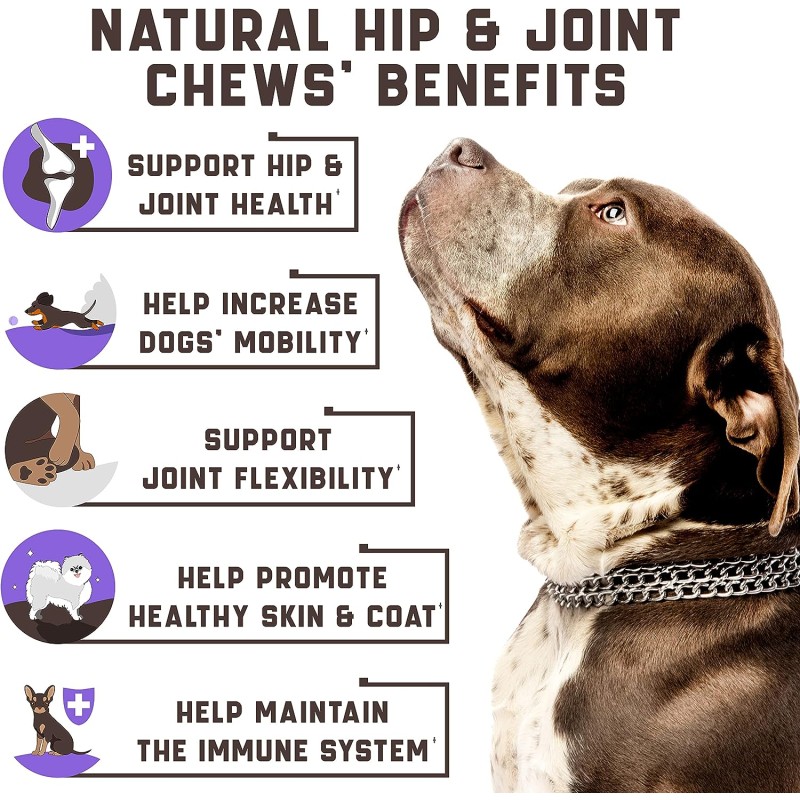 Pet Hip Joint Factory - Hip Joint for Pet Dog Treats Glucosamine MSM Chondroitin Soft Chews