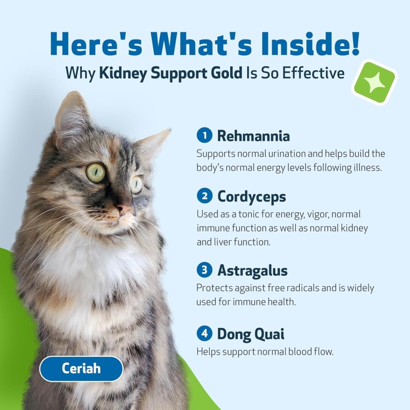 Pet Kidney Supplement Manufacturer - Private Label Organic Kidney Liquid Drop Support Kidney Bladder