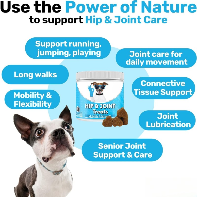 Pet Joint Chews Supplier - Hanyun Factory Hip Joint Soft Chews Support Mobility Dogs Cats Free Sample