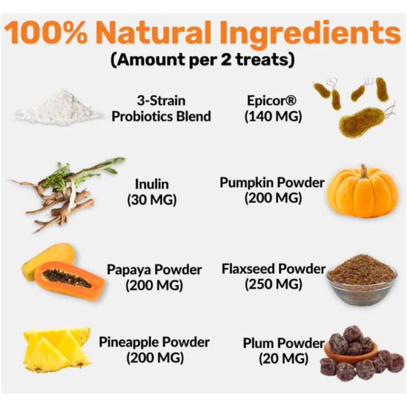 Pet Probiotic Chews Manufacturer - OEM Pre Probiotics Soft Chews Digestive Health Itchy Relief