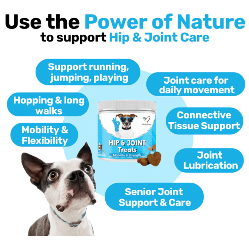 Pet Hip Joint Supplier - Private Label Hip Joint Treats Chews Flexible Mobility Glucosamine MSM