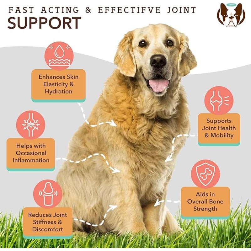 Pet Collagen Supplement Supplier - OEM ODM Collagen Soft Chews Joint Health Mobility Skin Elasticity