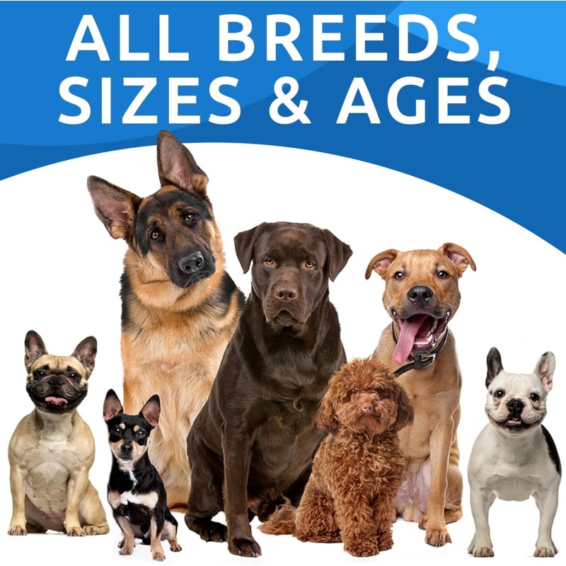 Pet Pumpkin Powder Supplier - Pumpkin Dogs Powdered Fiber Supplement Stool Softener Diarrhea