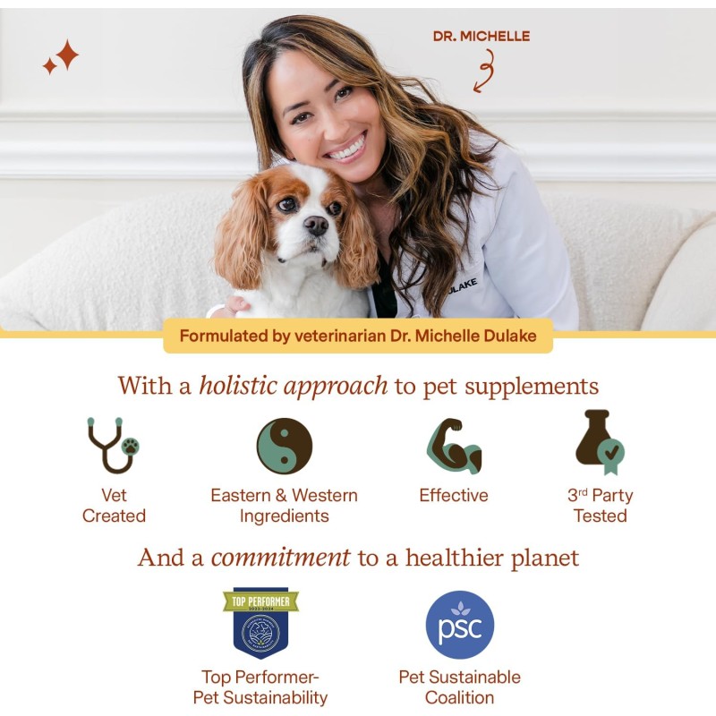 Pet Probiotic Powder Supplier - Wholesale Private Label Probiotics Powder for Dogs Cats Gut Immune