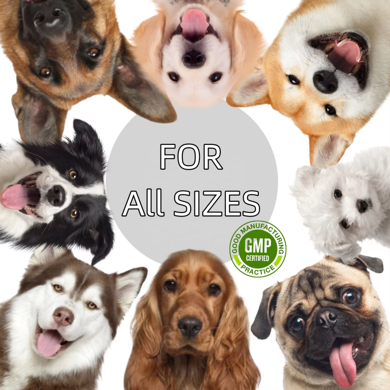 Pet Ear Cleaner Factory - OEM ODM Custom Dog Ear Cleaner Wipes Soft Cotton Pads Coconut Oil Aloe