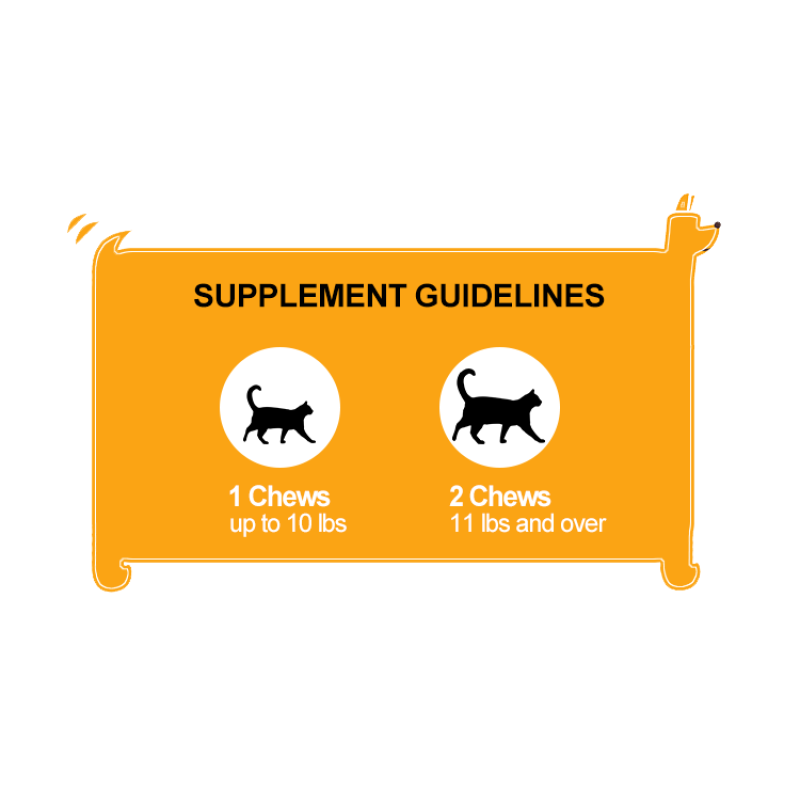 Pet Immune Chews Factory - Wholesale OEM ODM Lysine Immune Soft Chews Seasonal Allergies Itchy