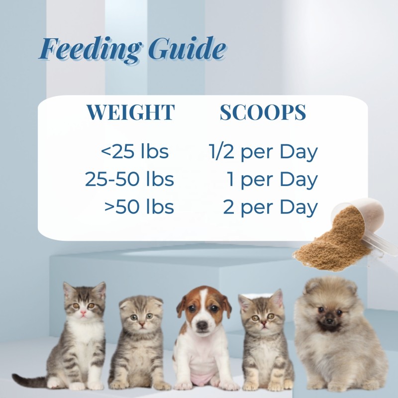 Pet Multivitamin Powder Factory - Factory Wholesale Customized Multivitamin Powder Flaxseed Pumpkin