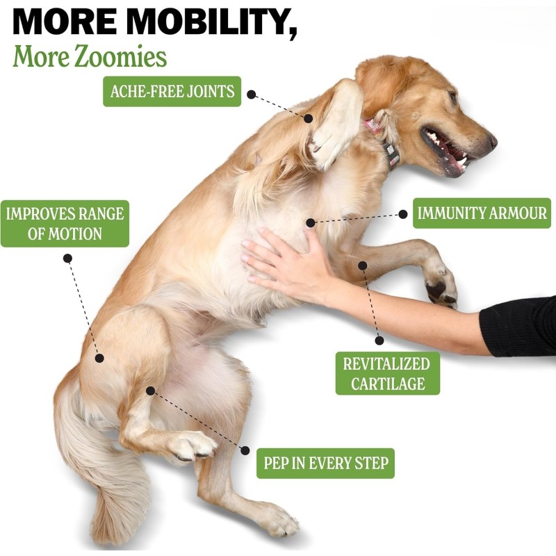 Pet Joint Chews Manufacturer - Wholesale Price Hip Joint Soft Chews Glucosamine Mobility Joint Lubrification