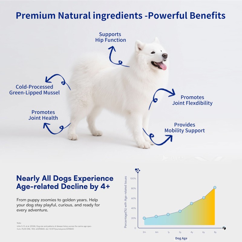 Pet Multivitamin Supplier - Dog Multivitamin Pet Supplements Vitamin Chews Enhance Immune System