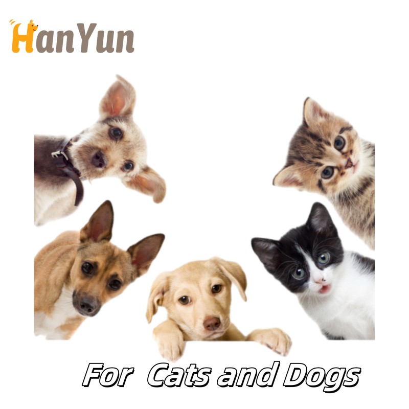 Pet Liver Supplement Factory - Free Sample Best Seller Natural Silybismuth Supplement Liquid Drop