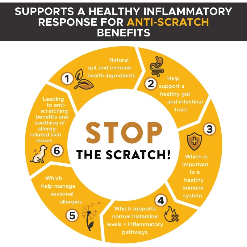 Pet Omega Supplement Supplier - Hanyun Wild Alaskan Salmon Oil with EPA DHA Skin Moisture Immune