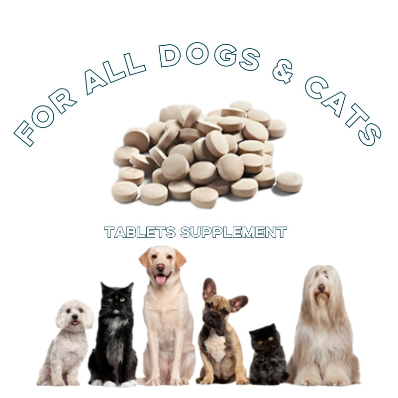 Pet Joint Supplement Factory - Factory Price Joint Chewable Tablets with Glucosamine Chondroitin