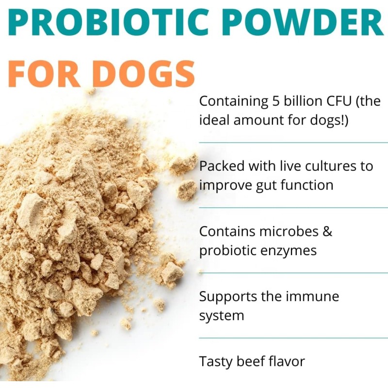 Pet Probiotic Powder Manufacturer - Factory Pet Probiotic Nutritional Powder Prebiotics Probiotics