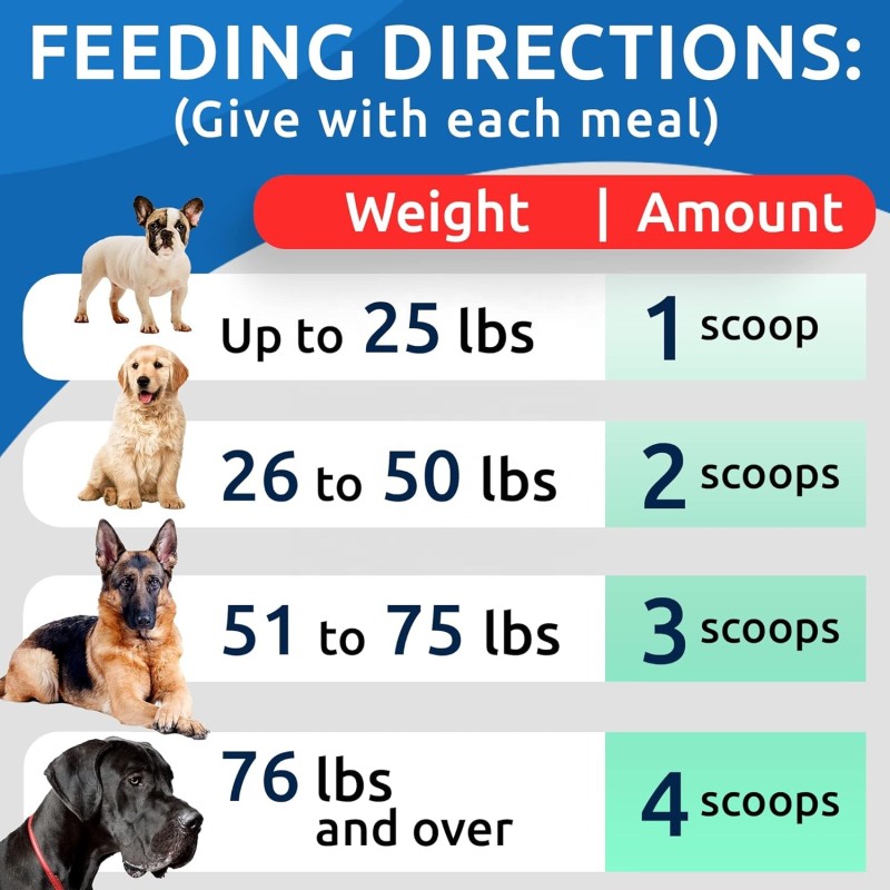 Pet Pumpkin Powder Supplier - Pumpkin Dogs Powdered Fiber Supplement Stool Softener Diarrhea