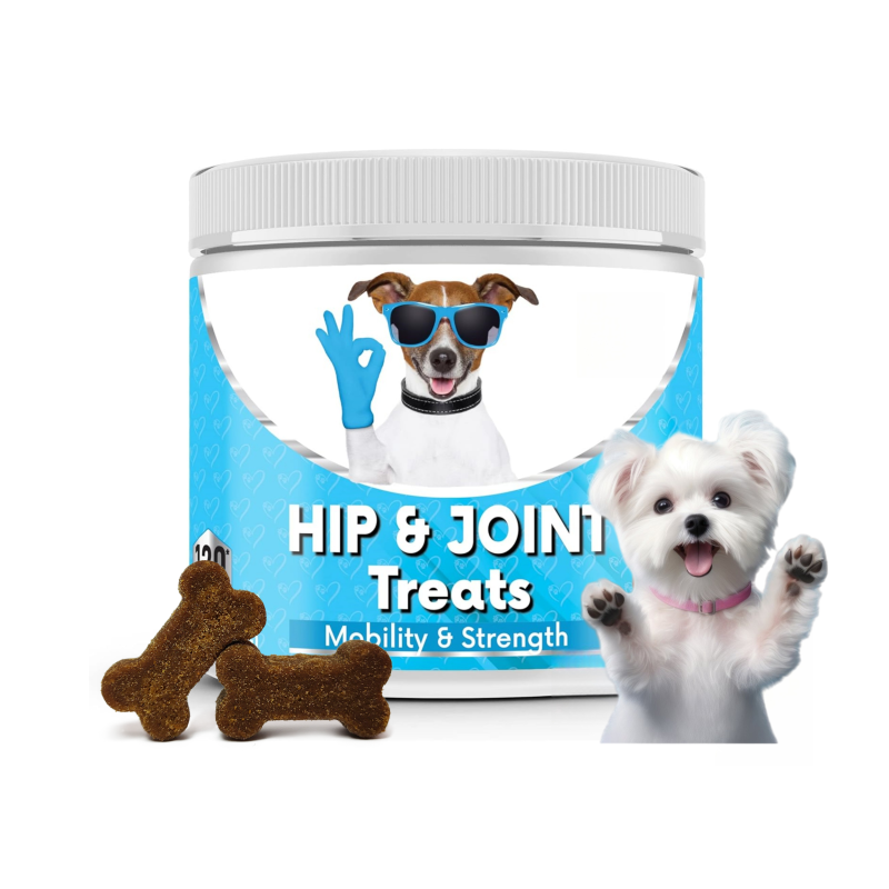 Pet Joint Chews Supplier - Hanyun Factory Hip Joint Soft Chews Support Mobility Dogs Cats Free Sample