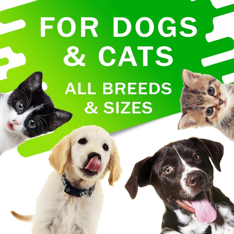 Pet Cat Multivitamin Supplier - HANYUN 10 in 1 Cat Multivitamin Glucosamine Essential Supplements