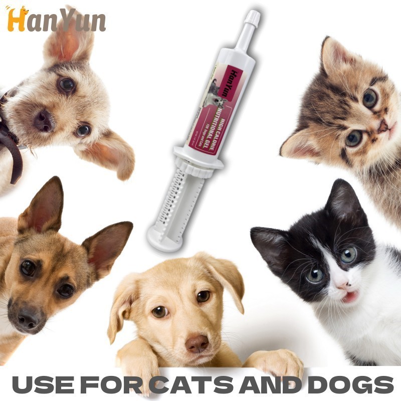 Pet Calorie Paste Factory - Pet High Calorie Nutritional Paste for Kitty Cat Growing Relief Sick