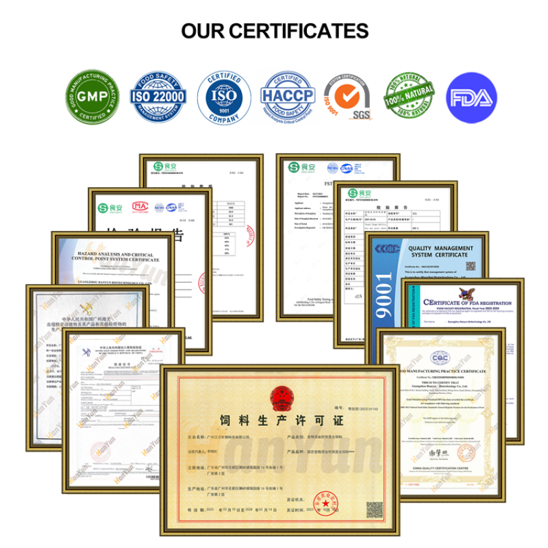 Pet Allergy Supplement Manufacturer - OEM Custom Private Label Itch Relief Immunity Support for Dogs