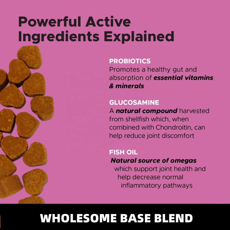 Pet Organic Supplement Factory - OEM 10-in-1 Organic Dog Supplements Turkey-Flavored Soft Chews