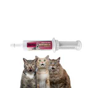 Pet Nutritional Paste Factory - Pet High Calorie Nutritional Paste Supplement Growing Relief Sick